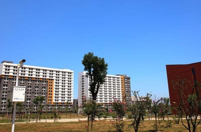 網(wǎng)絡(luò)工程專升本 探索計算機軟件與網(wǎng)絡(luò)應(yīng)用技術(shù)的融合開發(fā)