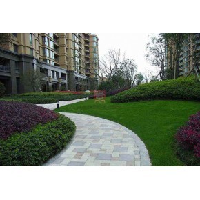 臺州綠化工程 設計、施工與價格考量